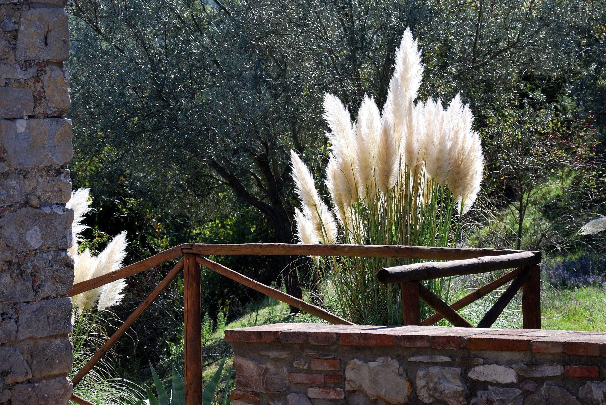 Tenuta Di Ricavo Castellina in Chianti Exterior photo